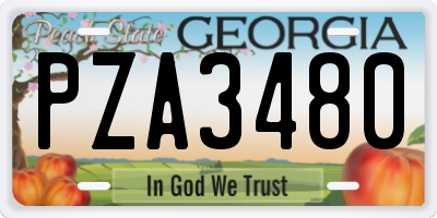 GA license plate PZA3480