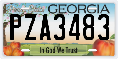 GA license plate PZA3483