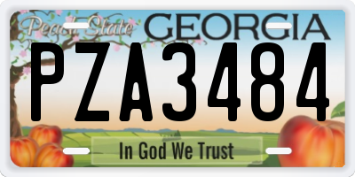 GA license plate PZA3484