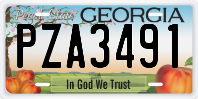 GA license plate PZA3491