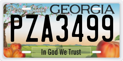 GA license plate PZA3499