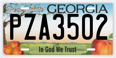 GA license plate PZA3502