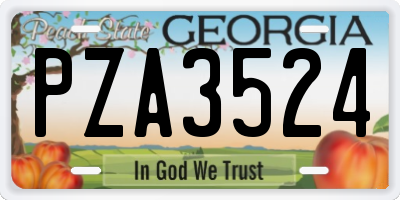 GA license plate PZA3524
