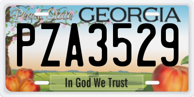 GA license plate PZA3529