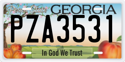 GA license plate PZA3531