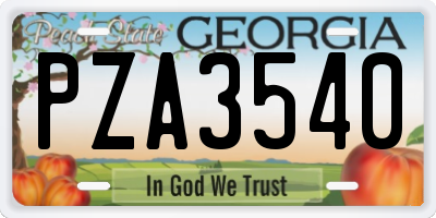 GA license plate PZA3540