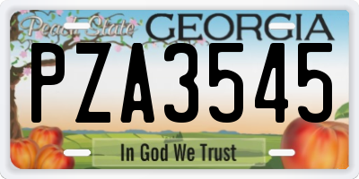 GA license plate PZA3545