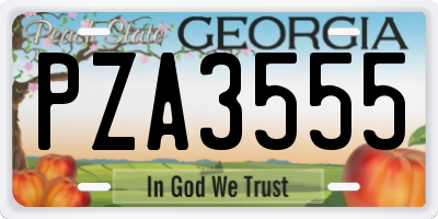 GA license plate PZA3555