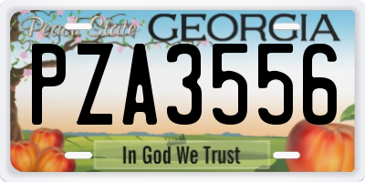 GA license plate PZA3556