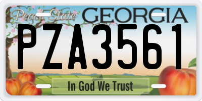 GA license plate PZA3561