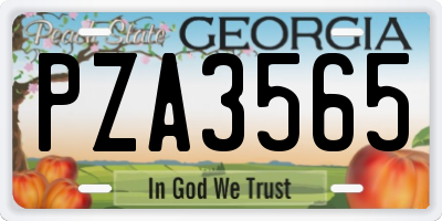 GA license plate PZA3565