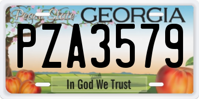 GA license plate PZA3579