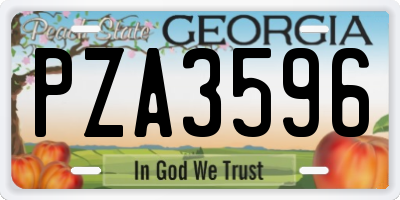 GA license plate PZA3596