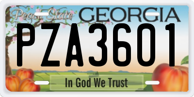 GA license plate PZA3601