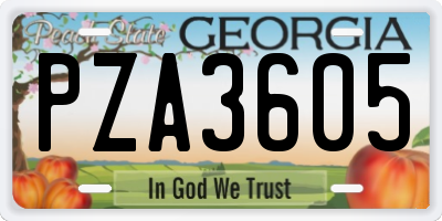 GA license plate PZA3605