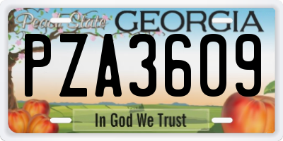 GA license plate PZA3609