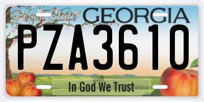GA license plate PZA3610