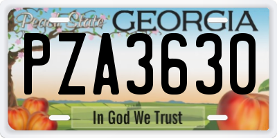 GA license plate PZA3630