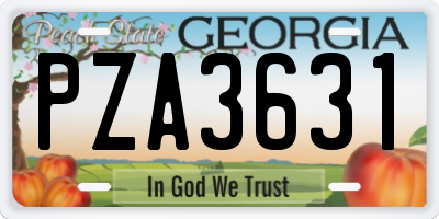 GA license plate PZA3631