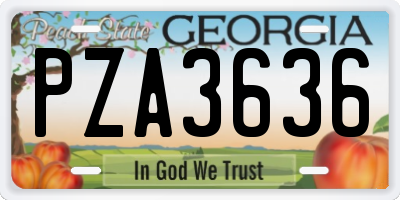 GA license plate PZA3636