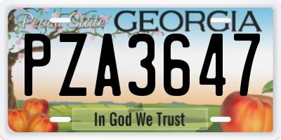 GA license plate PZA3647