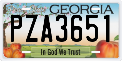 GA license plate PZA3651