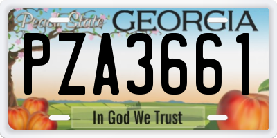GA license plate PZA3661