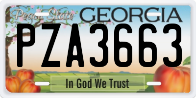 GA license plate PZA3663