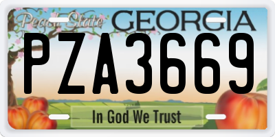 GA license plate PZA3669