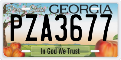 GA license plate PZA3677