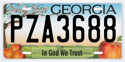 GA license plate PZA3688