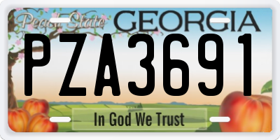 GA license plate PZA3691