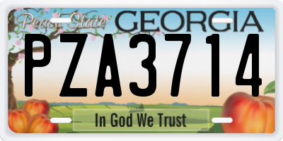 GA license plate PZA3714