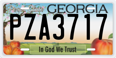 GA license plate PZA3717
