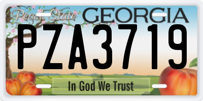 GA license plate PZA3719