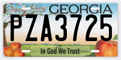 GA license plate PZA3725