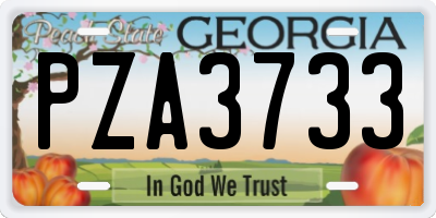 GA license plate PZA3733