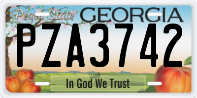 GA license plate PZA3742