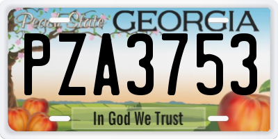 GA license plate PZA3753