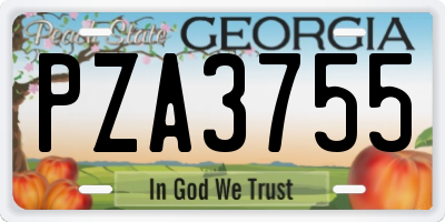 GA license plate PZA3755