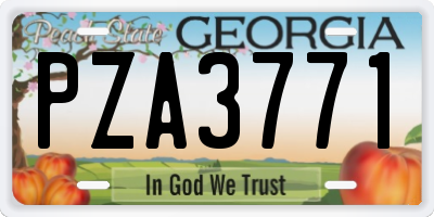 GA license plate PZA3771