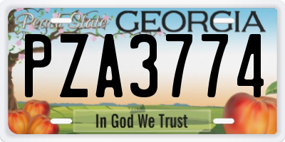GA license plate PZA3774