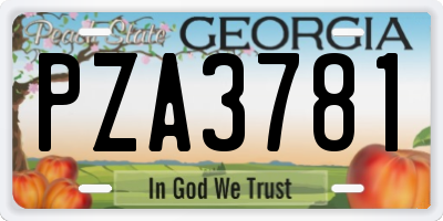 GA license plate PZA3781