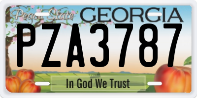 GA license plate PZA3787