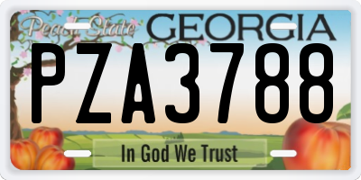 GA license plate PZA3788