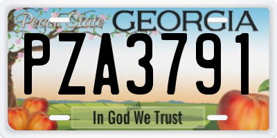 GA license plate PZA3791