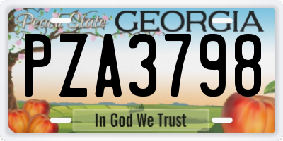 GA license plate PZA3798