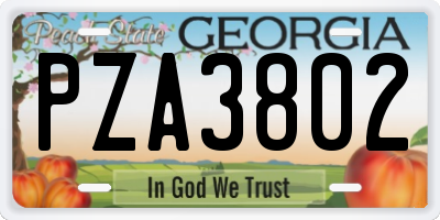 GA license plate PZA3802