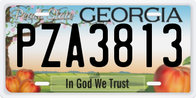 GA license plate PZA3813