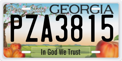 GA license plate PZA3815